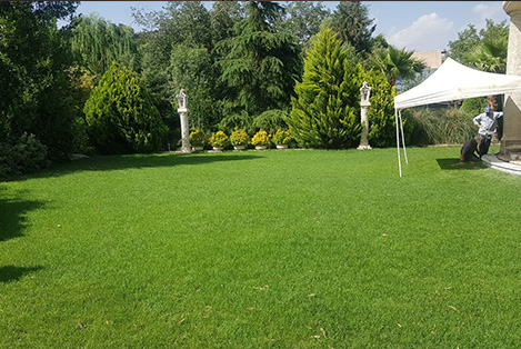 روشا ایونت